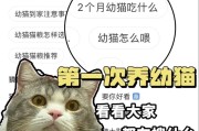 幼猫吃什么猫粮最好？（选择适合幼猫的猫粮品牌和类型）
