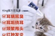 狗耳朵疾病及治疗方法（了解常见的狗耳朵问题，掌握正确的治疗方法）