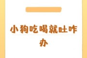狗狗呕吐，怎样选择合适的药物治疗？（狗狗呕吐，什么药物最有效？）