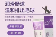 小猫缺钙怎么办？喂它什么补钙最有效？（为您解答如何给小猫提供充足的钙质，让它健康成长！）