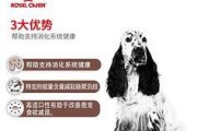 小狗胃肠炎后的药物治疗与饮食调理（胃肠炎药物治疗方案及合适饮食建议）