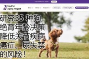 狗狗绝育手术后麻药退效时间及注意事项（了解麻药的作用和恢复过程，关心宠物健康）