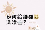 猫的洗澡频率及注意事项（了解猫咪洗澡的最佳时间和正确方式）