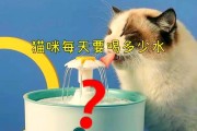如何增加猫咪的饮水量（猫咪一天需要喝多少水？提高猫咪的水摄入量的方法）