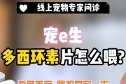 宠物生病需要喂药不配合？正确的喂药方法大揭秘！（宠物医疗护理的关键，有效喂药才是王道）