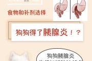 狗狗为什么会想吐？（了解狗狗呕吐的原因及应对方法）