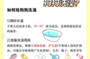 狗狗驱虫和洗澡的正确时间和方法（为狗狗做好驱虫和洗澡，关键是时间和方法的掌握）