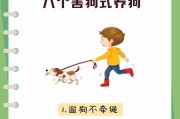 狗狗交配的四种方式（了解狗狗交配的不同方式及注意事项）