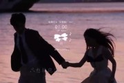萨摩耶的理想狗粮选择——干粮还是湿粮？（解密萨摩耶宠物狗的最佳饮食选择，干粮与湿粮的利弊分析）