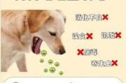 小狗吐后多久可以吃饭？（了解合适的饮食时间是保护小狗健康的关键）