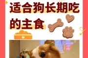 养比熊犬的好处与要注意的事项（比熊犬）