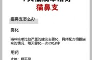猫鼻支检查费用及疾病介绍（了解猫鼻支检查的费用以及相关疾病预防）