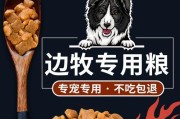 边牧的营养需求及补充（除了钙片，还有哪些营养品适合边牧？）