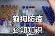 狗狗疫苗全攻略——必打的几联疫苗是哪些？（为您的爱宠做好防疫工作，确保它的健康与幸福！）