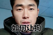 狗狗不爱喝水？让它乖乖喝水的5个方法（让你的狗狗摆脱不爱喝水的困扰，保持健康饮水习惯）
