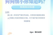 幼犬患细小的康复时间有多长？（深入了解幼犬患细小病情的治疗周期及关键因素）