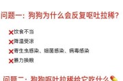 如何快速治疗狗狗拉稀和呕吐？（药物治疗是最有效的方法之一，）