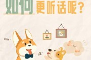 培养一条听话的狗狗，让训练轻松简单（培养听话的狗狗的5个关键点）