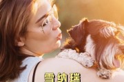 养雪纳瑞的几个容易忽略的要点（你是否犯了这些错误？）