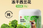 狗的饮食（了解适合狗吃的青菜种类和好处）
