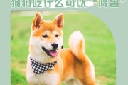 狗狗生产后10天的饮食指南（狗狗产后饮食规划，健康成长不可或缺！）