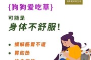金毛为什么会吃草？（探究金毛食草的原因及可能性分析）