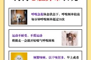 狗狗咳嗽不好的原因分析（探究狗狗长期咳嗽的可能原因及解决方法）