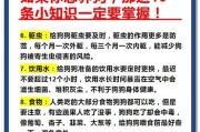 新手养宠指南（营养均衡的饮食对宝宝成长至关重要）