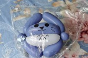 龙猫手上的宝物（探秘龙猫手上的神秘物品）