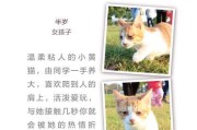 为什么要寄养狗狗（了解寄养狗狗的好处与重要性）