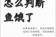 金鱼为什么会浮在水面？（揭开金鱼浮水之谜，探寻其身体特性与行为习性）