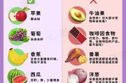 兔子的健康饮食指南（兔子吃什么才能保持身体健康？）