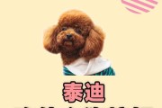 选择适合泰迪的狗粮，让它健康快乐成长（综合分析各大狗粮品牌，为你的泰迪选择最佳饮食）