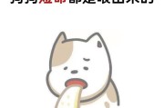 狗狗为什么最近不吃东西？（解读狗狗不吃东西的原因及解决方法）