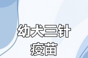 小狗三针接种，守护宝贝健康（科学养宠，注重预防，三针保护）
