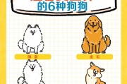 如何喂养金毛幼犬？六个注意事项你必须了解！（为你的金毛宝宝提供健康的饮食，让它快乐成长。）
