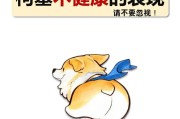 柯基犬的饲养要点（打造幸福的柯基犬生活）