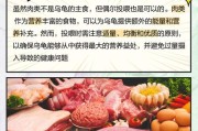 猪鼻龟的饮食需求及适宜喂养方法（科学合理的猪鼻龟喂养保健秘籍）