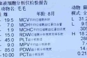 猫的血液生化检查（探秘猫咪血液生化检查的重要性及频率）