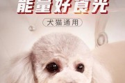 三个月泰迪宝宝补钙食谱大全（为宝宝健康成长提供全面的营养补给）