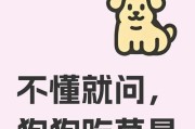 狗狗吃草、吃土怎么办？（了解原因与采取措施，让狗狗远离不良习惯）
