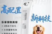 剃金毛的正确方式及工具选择（细说金毛剃毛全攻略，从工具到技巧一网打尽）
