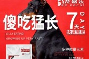 狗狗的健康离不开正确的补品选择（了解狗狗所需补品，让它健康快乐生活）