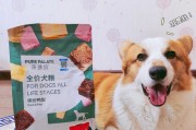 斗牛小犬的理想狗粮选择（满足斗牛小犬健康需求的高质量狗粮推荐）