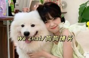 小狗对人的喜爱表现（小狗喜欢人的8个明显表现）