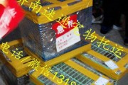 以泰迪托运注意什么？（泰迪托运的前提与注意事项）