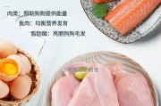 金毛犬的美毛秘籍（探寻金毛犬美毛的食物之道）