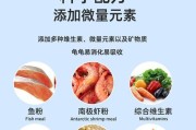 以草龟吃什么长得快（探讨草龟饲养的营养需求与饲料选择）