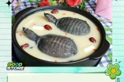 乌龟的日常饲养与好处（探索乌龟饲养的关键）