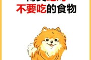 博美不能吃的水果有哪些？（了解博美不能吃的水果，守护它们的健康！）
